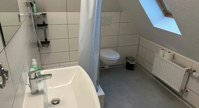 Трёхместный номер Standard Apart-Hotel Rheinischer Hof Dormagen
