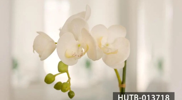 Апартаменты Blanco Vinyet