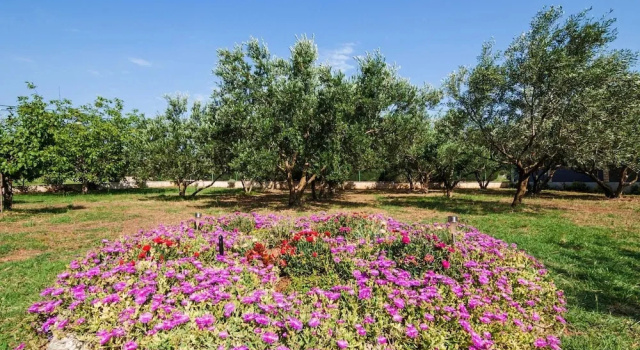 Коттедж Villa Chervil ZadarVillas