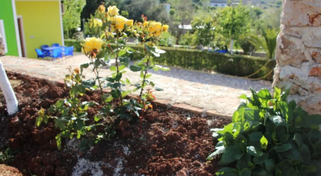 Garden House