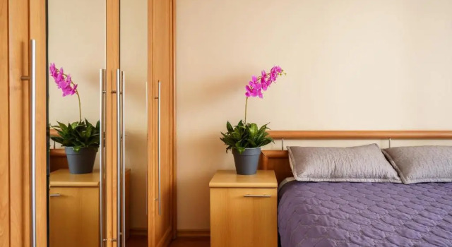 Standard Zimmer Золотой квадрат