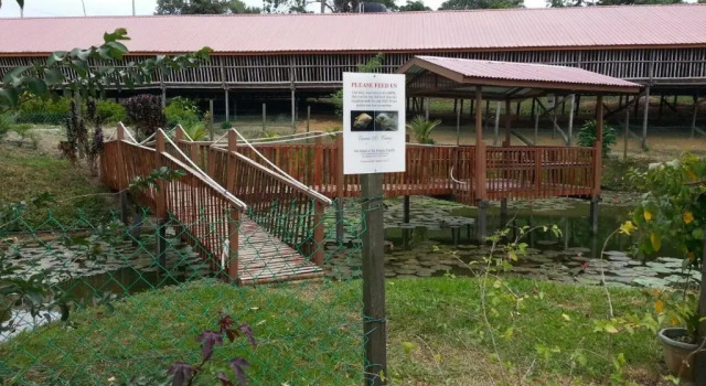 Коттедж Sabah Tea Resort