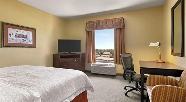 Номер Standard Hampton Inn & Suites Lawton