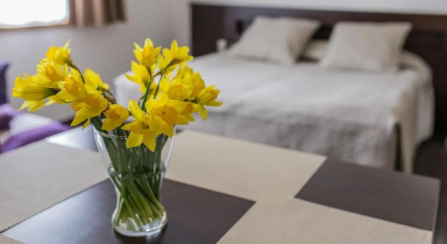 Standard Zimmer Villa Nova 34A