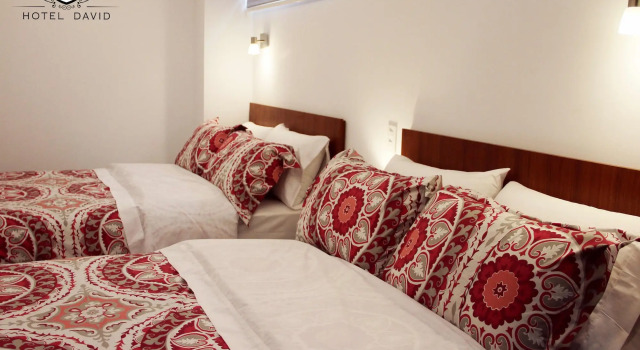 Hotel David