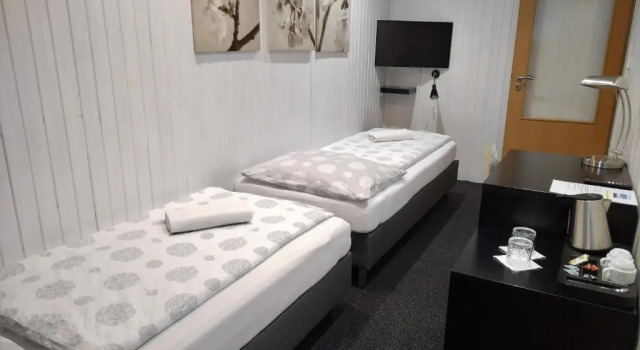 Двухместный номер Standard Hotel Boršičanka