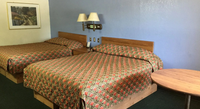 Flamingo Inn