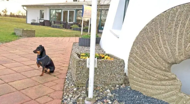 Hotel Ostsee Windmühle, Reserva ahora Hotel Westerholz Schleswig-Holstein