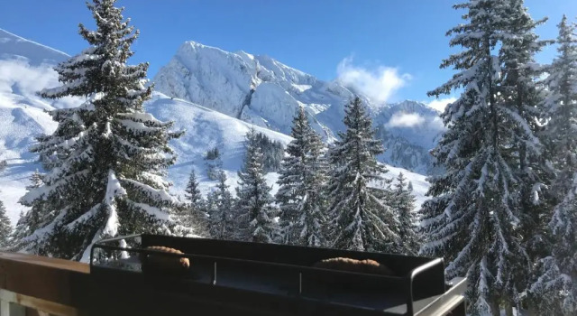 Appartement T2 col de Merdassier au pied des pistes, Забронировать Апартаменты/квартира Отели Маниго с бассейном, рядом с Горнолыжный подъемник Гран Лаке, Бассейн