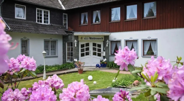 Hotel Waldrausch