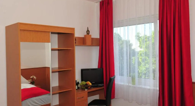 Одноместный номер Standard Arthotel Ambassador Wiesbaden