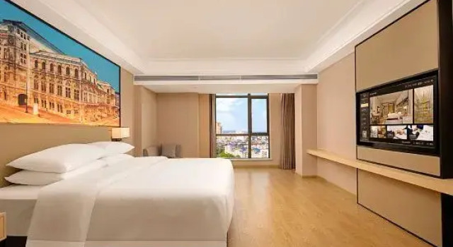 Люкс Deluxe Vienna International Hotel (5.0 Yongchun Taoyuan Branch)