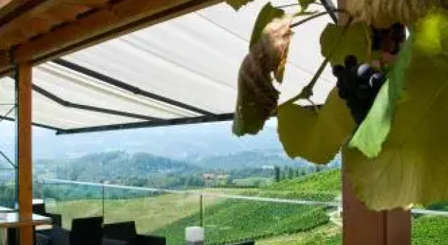Weingut Hotel Restaurant Mahorko, Book Hotel Gamlitz Styrian Wine Road