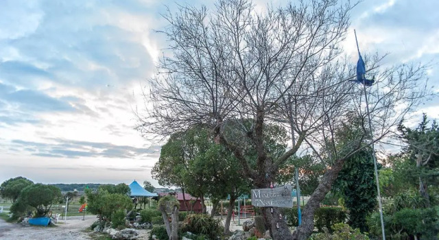Коттедж Villa Gisella