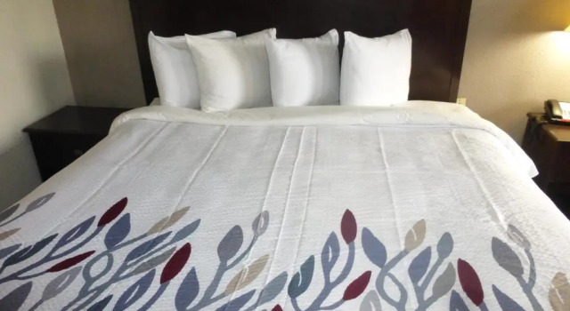 Номер Superior Red Roof Inn Evergreen