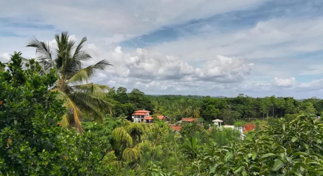 Номер Standard Green Hill Paradise Villa