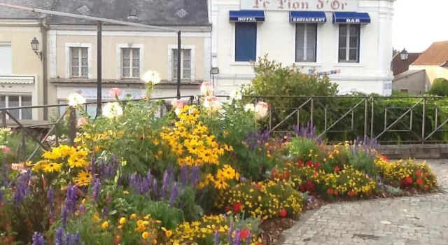 Hôtel le Lion d'Or, Boek Hotel Kanton Écueillé Centre