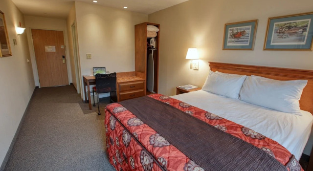Standard Zimmer Bear Lodge