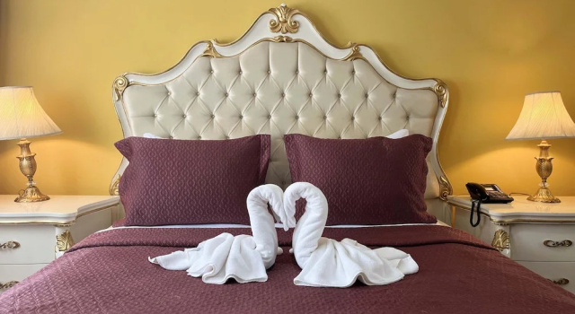 Двухместный номер Executive Ottoman Hotel Sakarya