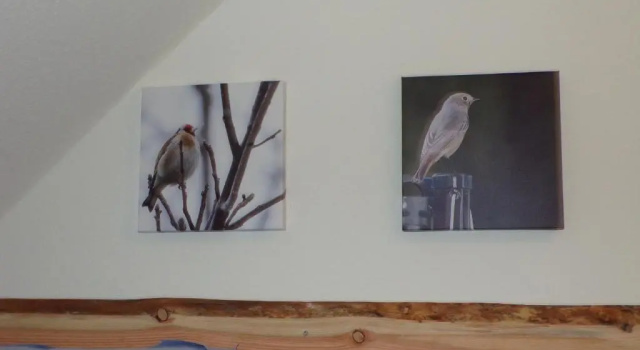 Номер Standard Naturferienhaus Luppbodemühle