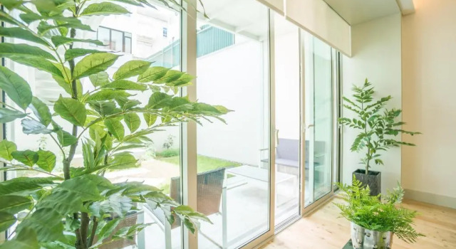 Апартаменты Courtyard & Elegance Apartment