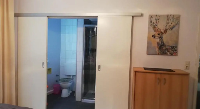 Апартаменты Цокольный этаж Haus zur Traube
