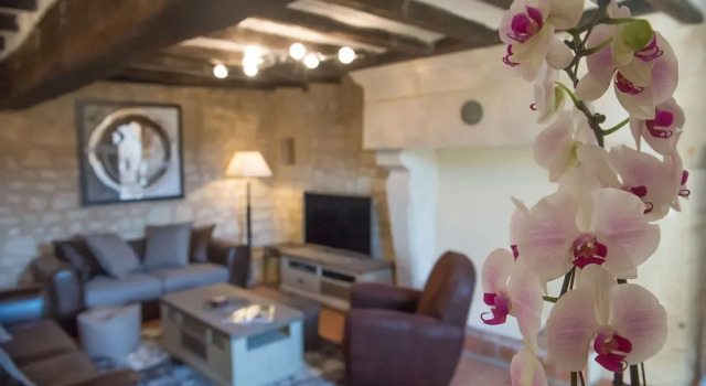 Gîte Les Orchidées du Vaudelnay