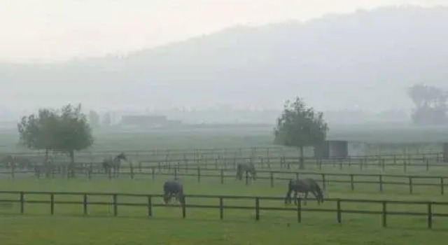 B&Logies Au-Galop, Prenota Hotel Koksijde 