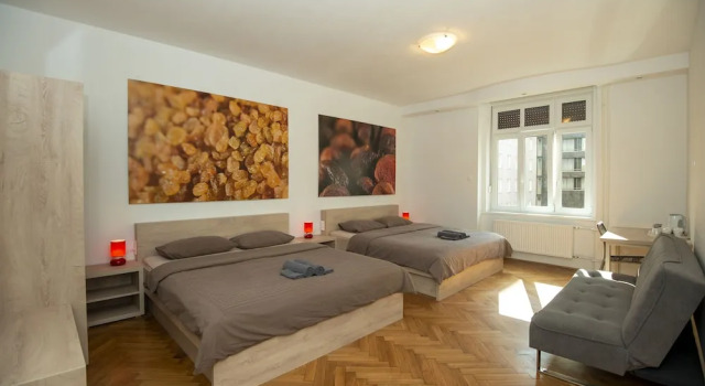 Четырёхместный номер Standard Viva Rooms