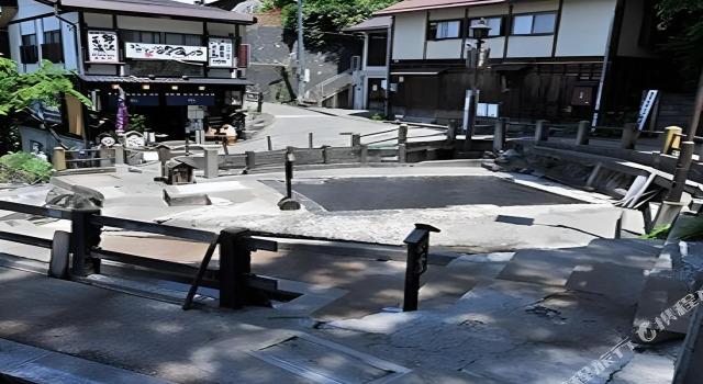 Sakakiya, Prenota Hotel Nozawa Onsen 