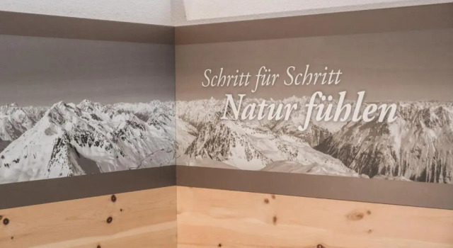 Номер Standard Garni Ötztal ROOMS & APARTS