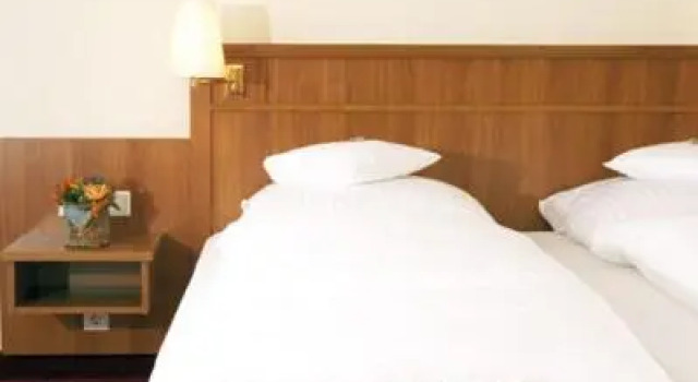 Номер Standard Waldhotel Nachtigall