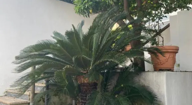 Апартаменты Appartamento in villa