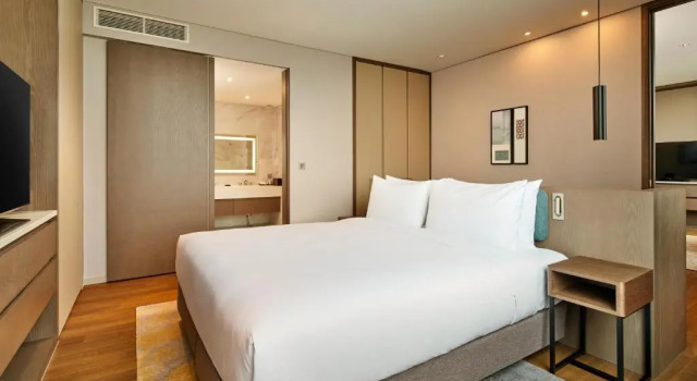 Двухместный люкс Premium Hilton Garden Inn Seoul Gangnam