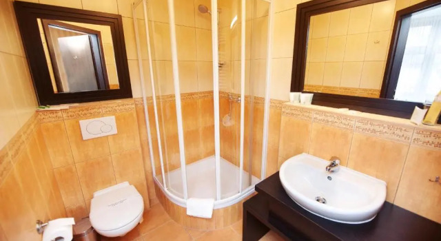 Двухместный номер Standard Hotel Wielopole