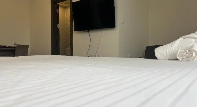 Confort single cameră Adonis Cupecoy