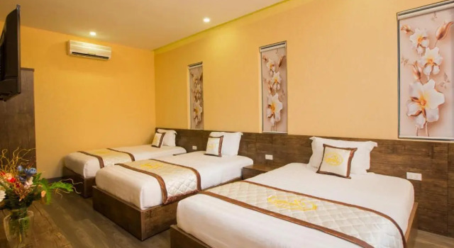 Апартаменты Sang Như Ngọc Resort