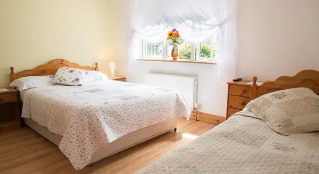 Номер Standard Shannon Breeze B&B
