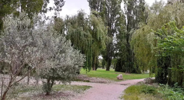 Апартаменты Studio 24 m2 - Hameaux de Camargue - village 9 - 13200 Arles