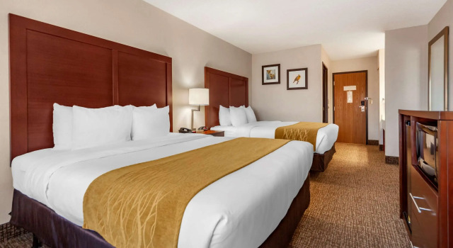 Четырёхместный номер Standard Comfort Inn Grand Island North