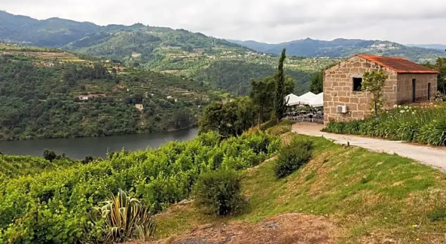 Двухместный номер Douro Palace Hotel Resort & SPA