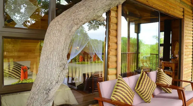 Коттедж Standard Pezulu Tree House Lodge