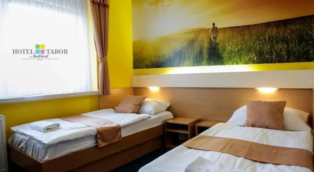 Двухместный номер Standard Hotel Tabor Maribor