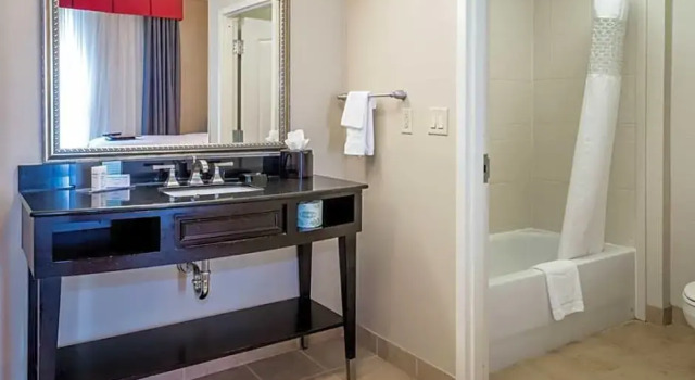 Четырёхместный люкс Hampton Inn & Suites Montgomery-Downtown