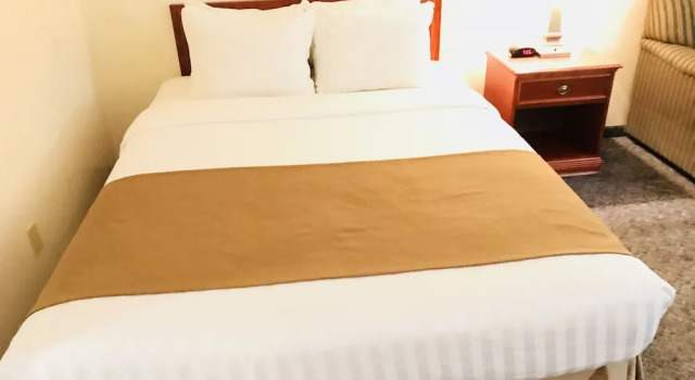 Люкс Business Northern Star Hotel & Convention Center