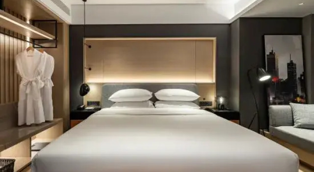 Люкс Executive Chongqing East Station Tea Garden Park Hotel