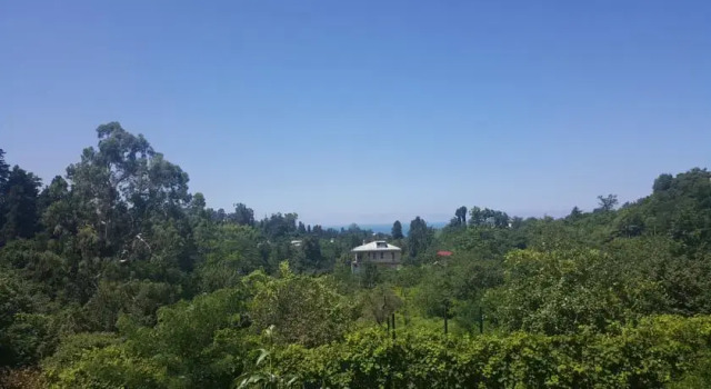 Bambarbia Guesthouse, Book Hotel Makhinjauri 