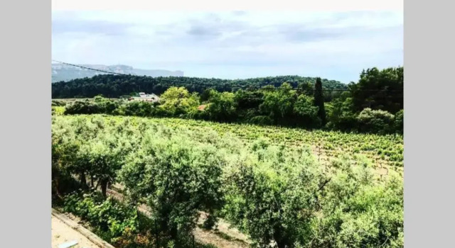 Апартаменты Studio Dans Les Vignes de Cassis