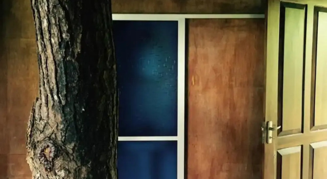 The Tree House