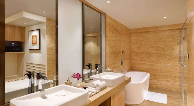 Двухместный люкс Bellevue Sarovar Premiere Junagadh